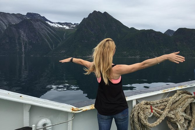 Private Tour Geiranger and Glaciers 1 to 15 People - Explore Geiranger