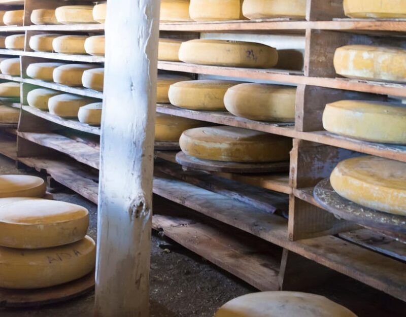 Private Tour Geneva-Gruyères: Chocolate and Cheese Factory - Key Points