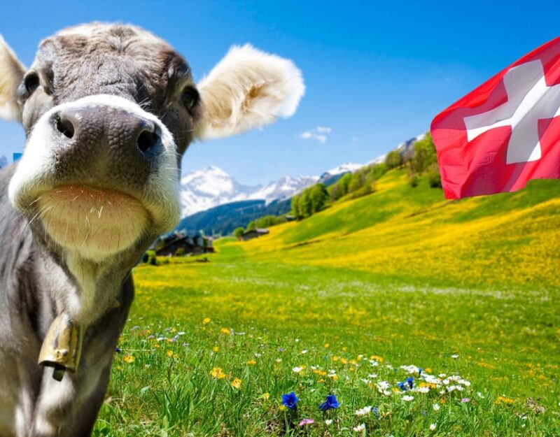Private Tour Geneva-Gruyères: Chocolate and Cheese Factory - Inclusions and Important Information