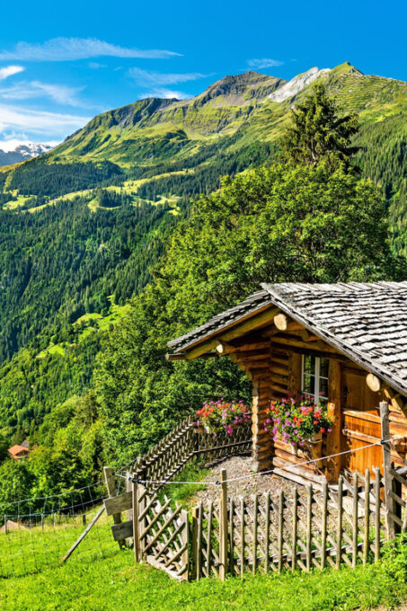 Private Tour Geneva-Gruyères: Chocolate and Cheese Factory - Booking and Cancellation Policy
