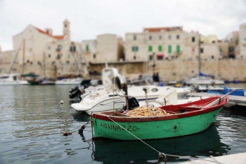 Private Tour Giovinazzo: Defence From the Sea and Beauty - Included Services