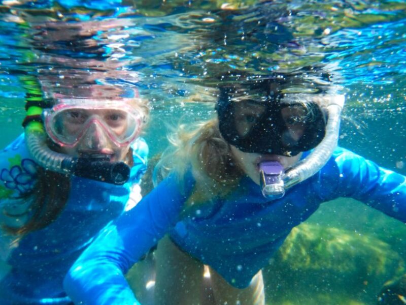 Private Tour: Great Snorkeling Adventure at the Riviera Maya - Pricing Details