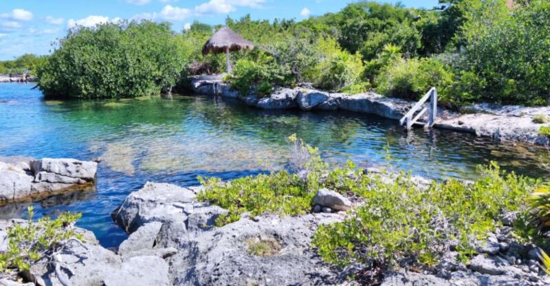Private Tour: Great Snorkeling Adventure at the Riviera Maya - Itinerary and Activities