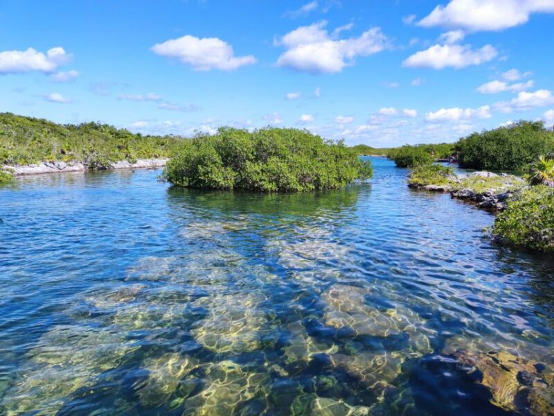 Private Tour: Great Snorkeling Adventure at the Riviera Maya - Inclusions and Amenities