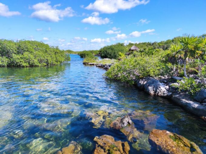 Private Tour: Great Snorkeling Adventure at the Riviera Maya - Recommendations