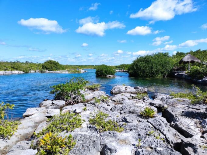 Private Tour: Great Snorkeling Adventure at the Riviera Maya - Booking and Cancellation