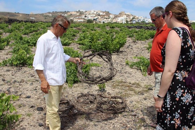 Private Tour: Great Wines and Famous Towns of Santorini - Savoring Santorinis Renowned Wines
