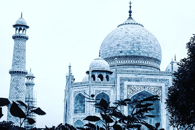 Private Tour Guide for Taj Mahal & Agra Fort - Meeting Point Options