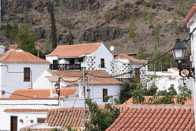 Private Tour Guide in Gran Canaria - Customized Tour Experience