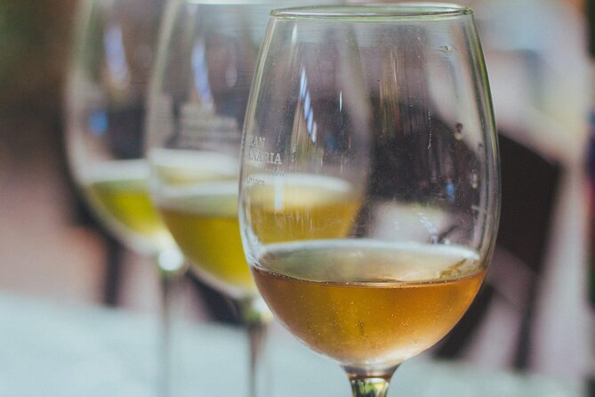 Private Tour Guide in Gran Canaria - Accessibility and Participation