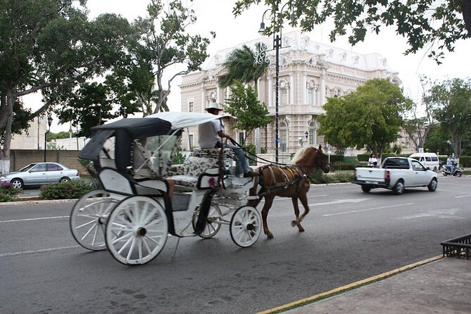 Private Tour Guide in Merida, 100% Customisable - Best Rated - Accessibility Features Offered
