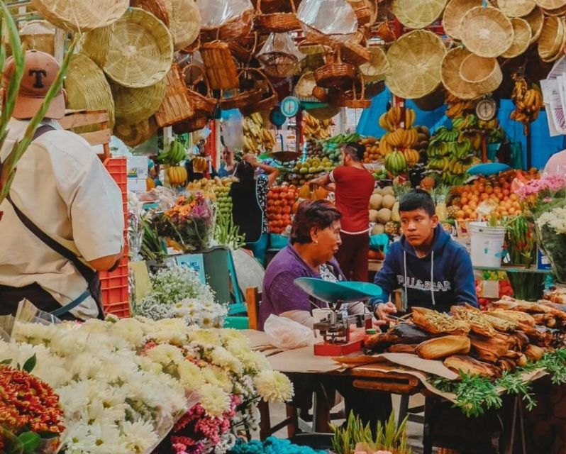 Private Tour Guide Mexico City: Personalize (6, 9 or 12 H) - Booking Information
