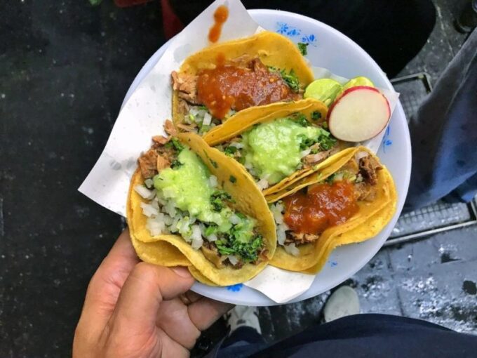 Private Tour Guide Mexico City: Personalize (6, 9 or 12 H) - Group Type and Languages
