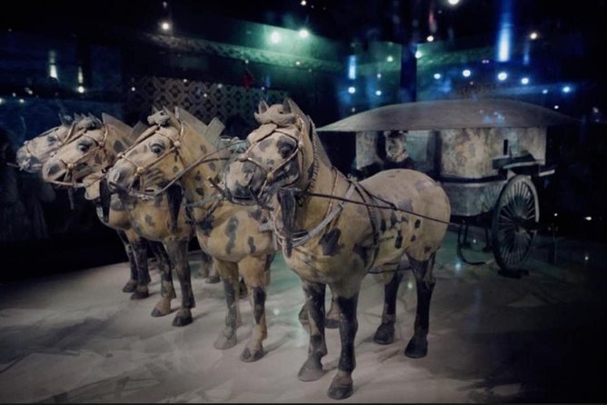 Private Tour Guide or Transfer for Terracotta Warriors and Xian - Exploring the Terracotta Warriors