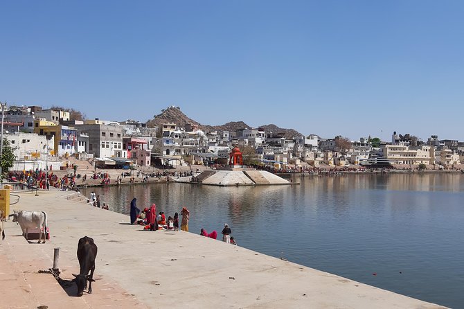 Private Tour Guide Pushkar - Experience Highlights