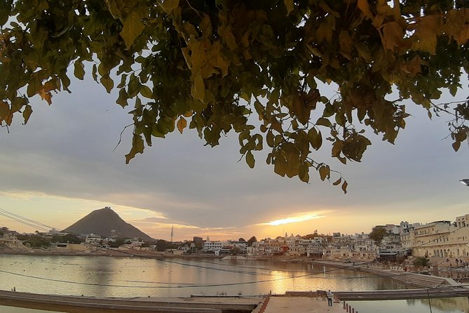 Private Tour Guide Pushkar - Feedback and Ratings