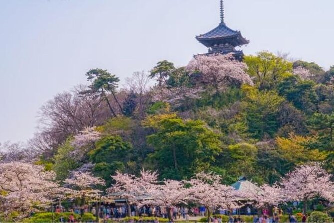 Private Tour Guide Yokohama With a Local: Kickstart Your Trip, Personalized - Accessibility Information
