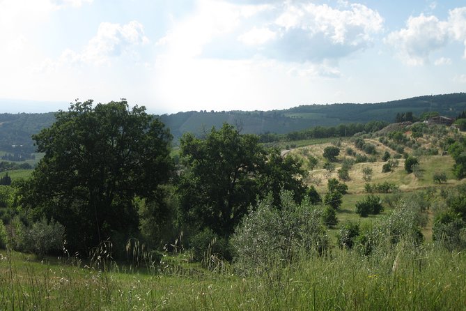 Private Tour: Guided Hike in Tuscany With Transport From Siena - Visiting the Medieval Town of San Gimignano