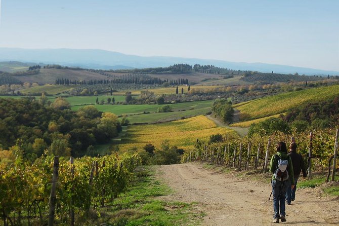 Private Tour: Guided Hike in Tuscany With Transport From Siena - Walking Along the Ancient Via Francigena