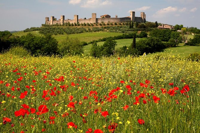 Private Tour: Guided Hike in Tuscany With Transport From Siena - Tour Inclusions and Cancellation Policy