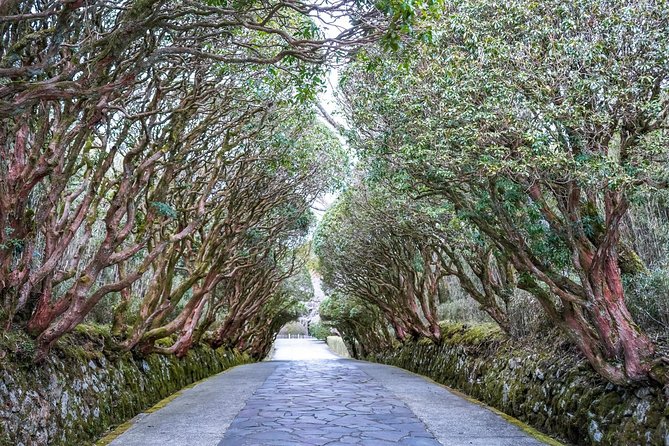 Private Tour - Hakone Day Trip! A Tour to Explore All Must-Sees! - Transportation and Admission Details