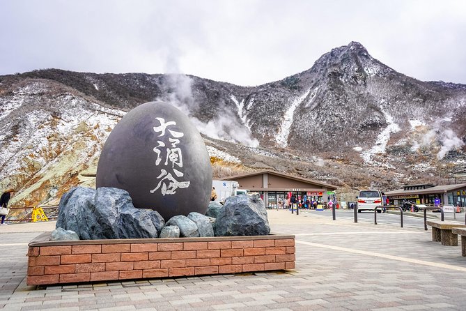 Private Tour - Hakone Day Trip! A Tour to Explore All Must-Sees! - Meeting Point and Schedule