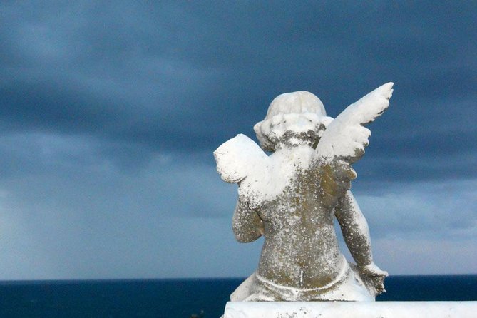 Private Tour: Half-Day Iconic Sydney - Booking Information