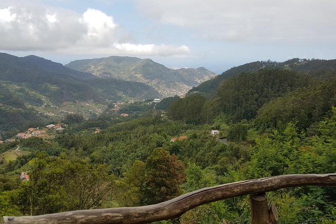 Private Tour Halfday Mini-Zoo Santo Da Serra Park - Accessibility and Participation