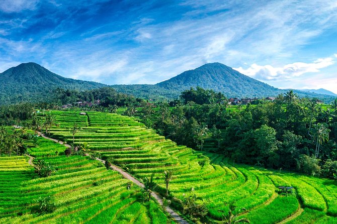 Private Tour: Handara Iconic Gate, Rice Terrace & Ulundanu Temple - Ulun Danu Beratan Temple