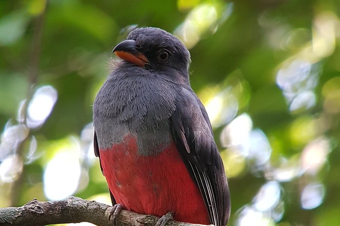 Private Tour Hanging Bridges La Fortuna Waterfall and Volcano - Provided Amenities