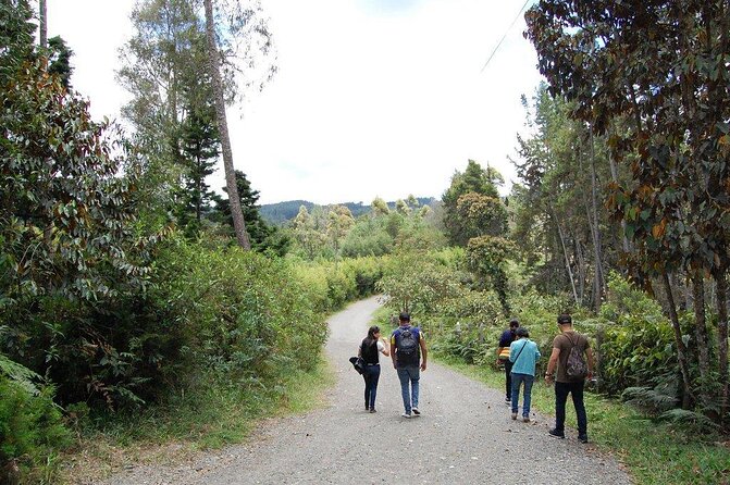 Private Tour Heart Fair Flowers + Adventure Park + Flower Farm - Key Points