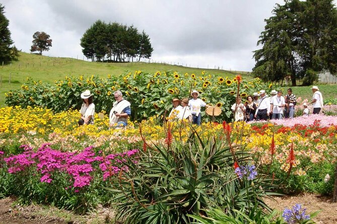 Private Tour Heart Fair Flowers + Adventure Park + Flower Farm - Accessibility and Recommendations