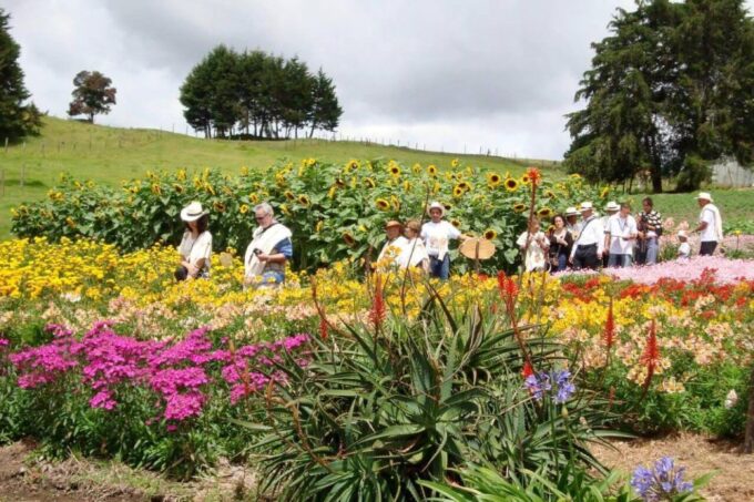 Private Tour Heart Flower Fair+Adventure Park+Silletas Farm - Drop-off Locations
