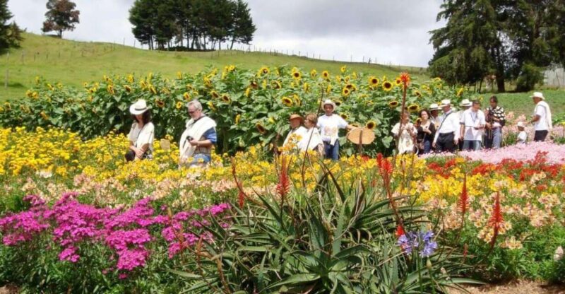 Private Tour Heart Flower Fair+Adventure Park+Silletas Farm - Itinerary Details