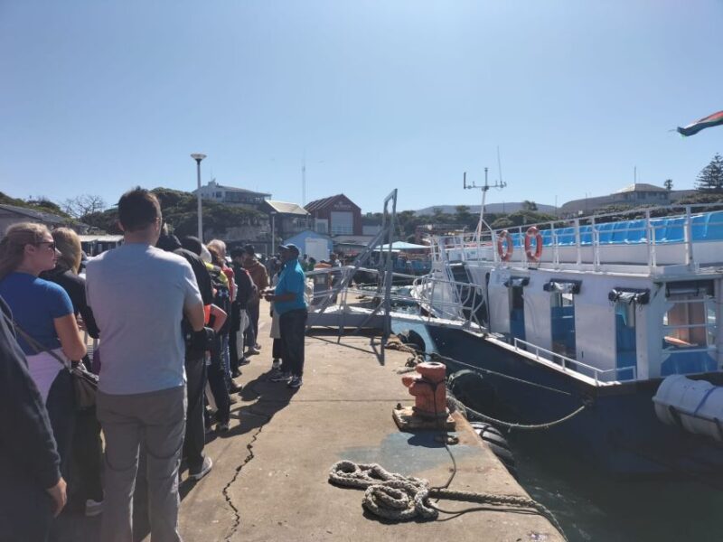 Private Tour: Hermanus- Boat Based Whale Watching Experience - Stony Point Nature Reserve