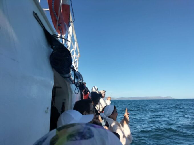 Private Tour: Hermanus- Boat Based Whale Watching Experience - Important Information