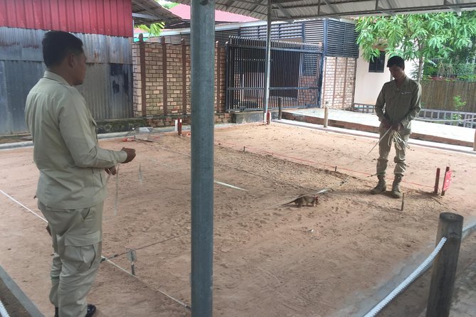 Private Tour: HERO Rats & Angkor National Museum - APOPO Visitor Center