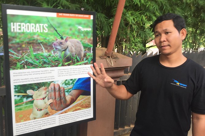 Private Tour: HERO Rats & Angkor National Museum - Itinerary Details
