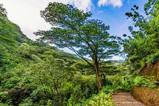 PRIVATE TOUR-Hike Diamond Head & Hawaiian Waterfall - Pickup and Drop-off Details