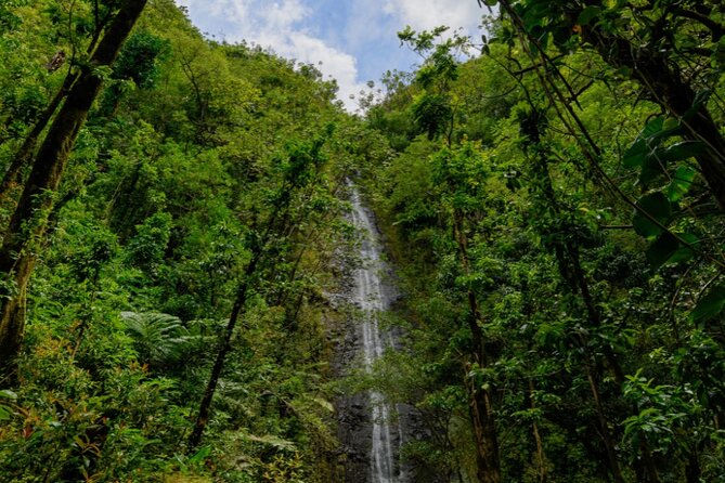 PRIVATE TOUR-Hike Diamond Head & Hawaiian Waterfall - Booking and Cancellation Policies