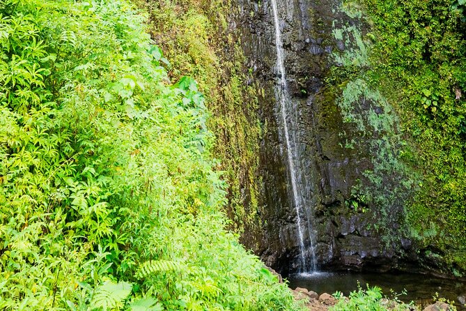 PRIVATE TOUR-Hike Diamond Head & Hawaiian Waterfall - Experience Highlights