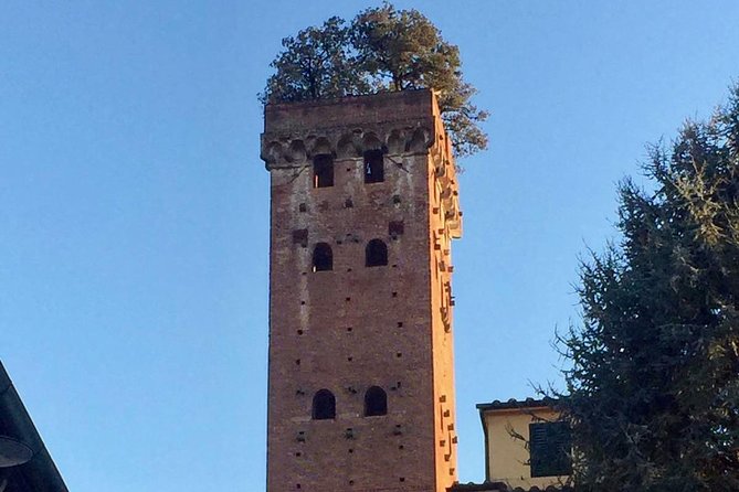 Private Tour: Historic Lucca by Bike - Pricing and Cancellation Policy