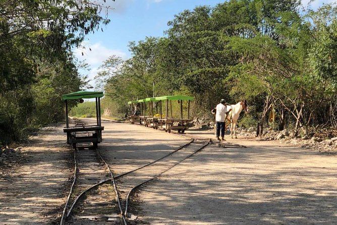 Private Tour: Homun Cenotes Day Trip - Pickup Details
