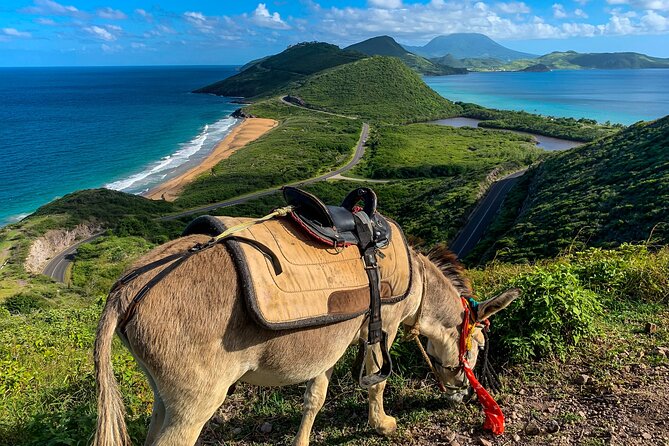 Private Tour Horseback Riding and Beach in St Lucia - About Your Stay
