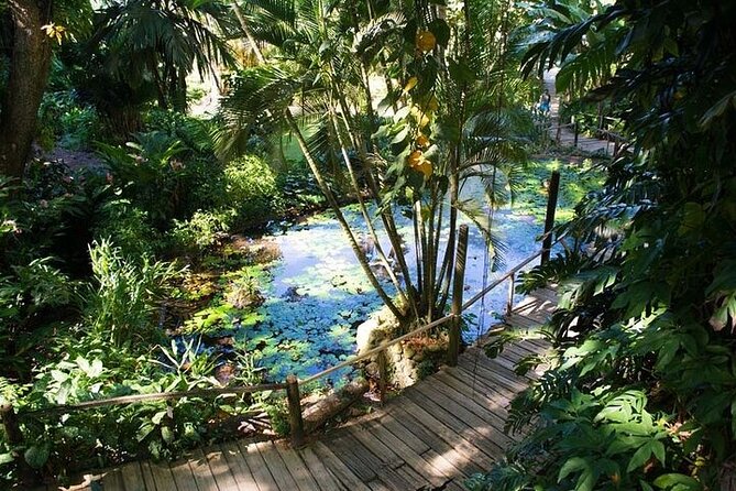 Private Tour: Hot Spings & Sleeping Giant Garden Hiking Adventure - Tour Highlights