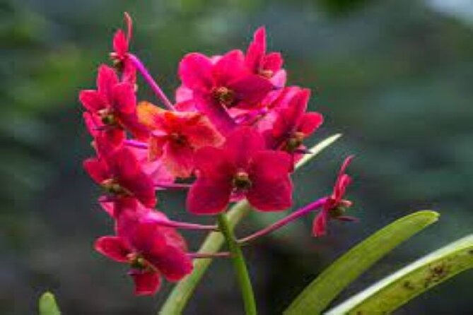 Private Tour: Hot Spings & Sleeping Giant Garden Hiking Adventure - Additional Information