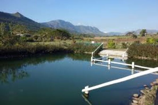 Private Tour: Hot Spings & Sleeping Giant Garden Hiking Adventure - Tour Rating and Price