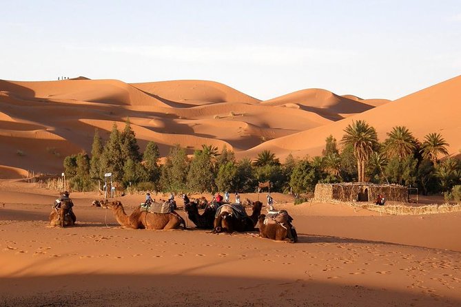 Private Tour Imperial Cities of Morocco From Casablanca 6 Days & 5 Nights - Traveler Feedback and Recommendations