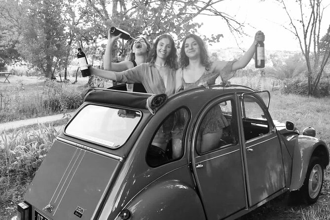 Private Tour in 2cv in the Vineyards With Tasting and Picnic - Accessibility
