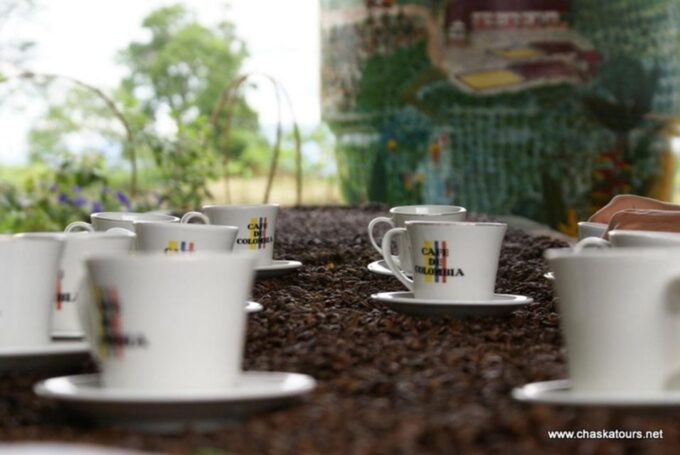 Private Tour in an Authentic, Ecological Local Coffee Finca - Coffee Tasting